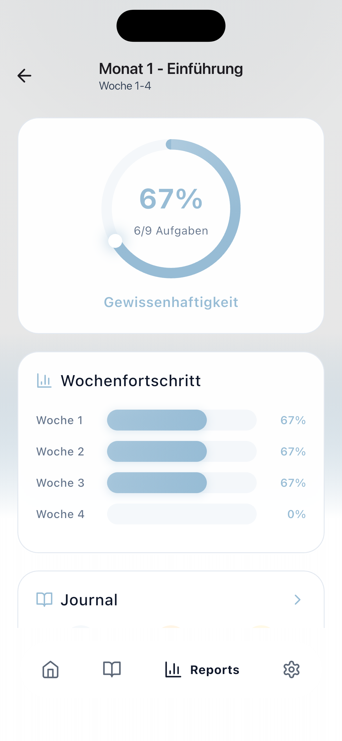 Report
